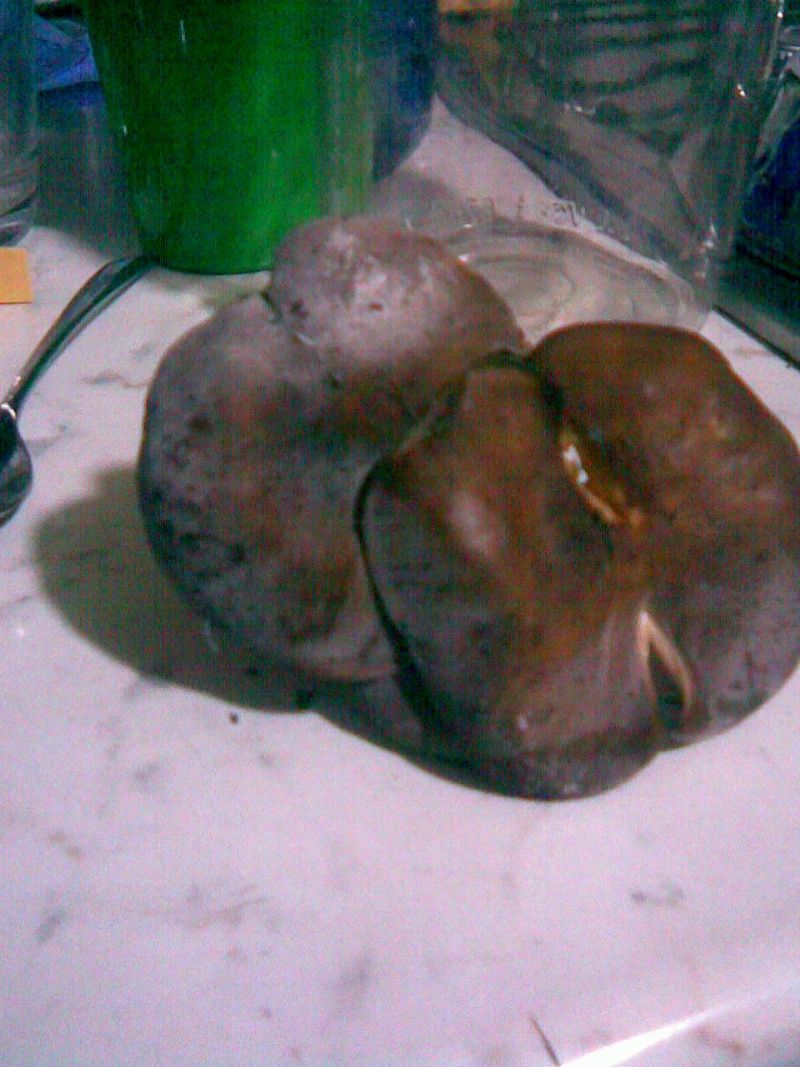 Armillaria o no e quale tipo.